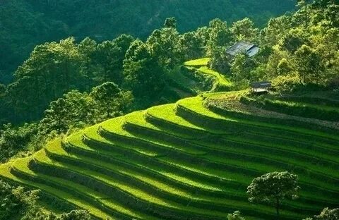 Hotspot Matrix và Thích mê Lào, Campuchia, nhưng chỉ khi đến Việt Nam khách Tây mới được