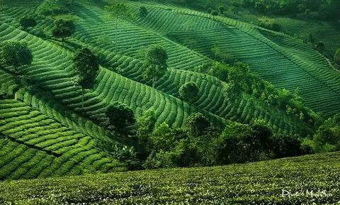 Cách Khởi Nghiệp Kiếm Tiền Bán Thời Gian Dành Cho Người Mới