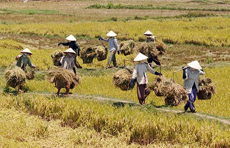 Freelancer Và Cơ Hội Kiếm Tiền Từ Nền Tảng Hotspot Matrix