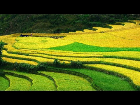 4 kiểu áo sơ mi dìm dáng, xỉn - Cảm hứng video marketing từ Hotspot Matrix_video kể về tín hiệu